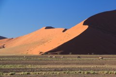 03-Big dunes in Sossusvlei